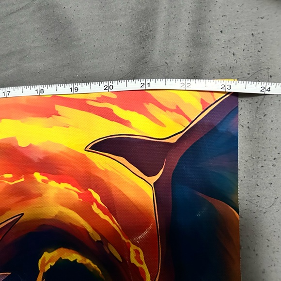 Pokémon Mega Charizard vs. Charizard battle canvas - Picture 2 of 3